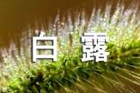 白露的小清新寄語(yǔ)