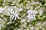關(guān)于冰雹作文