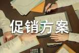 促銷方案設(shè)計(jì)模板