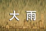今夜大雨瓢潑隨筆