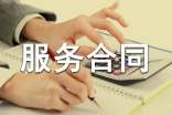 項(xiàng)目技術(shù)服務(wù)合同