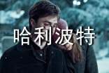 哈利波特初中讀書隨筆