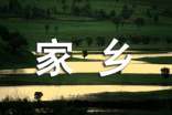 家鄉(xiāng)的美食作文評(píng)語(yǔ)