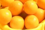 金桔的功效與作用有哪些