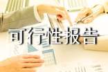 可行性報(bào)告書