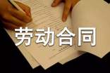 (優(yōu))雇傭勞動(dòng)合同15篇