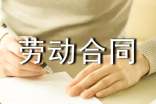 勞動合同法范文