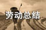勞動(dòng)總結(jié)心得體會(huì)