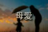 關(guān)于母愛的作文評(píng)語(yǔ)140句