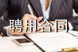 企業(yè)聘用合同書7篇