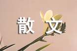 散文詩(shī)的精選經(jīng)典