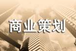 標準商業(yè)策劃書格式