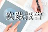 青馬實(shí)踐報(bào)告1500「精選」
