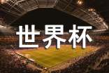 世界杯觀后感