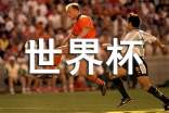 世界杯話題優(yōu)秀作文素材