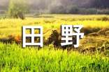 田野優(yōu)秀作文
