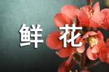 有關(guān)鮮花的歇后語