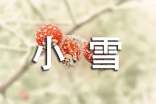 【優(yōu)】小雪節(jié)氣暖心祝福語