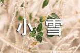 節(jié)氣小雪的活動(dòng)方案
