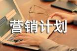 年度營(yíng)銷(xiāo)計(jì)劃書(shū)范文