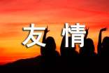 友情唯美心語【優(yōu)秀】
