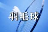 學(xué)羽毛球的心得體會