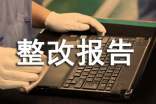 整體績(jī)效自評(píng)的整改報(bào)告(精選10篇)