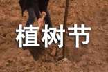 2017小學(xué)生植樹節(jié)倡議書范文