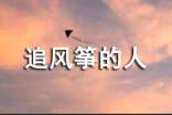 追風(fēng)箏的人讀書心得感悟