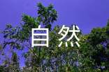 大自然的高中作文(通用28篇)