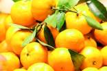 有關(guān)橘子的謎語