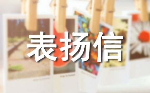 ���˱�P�ŷ���