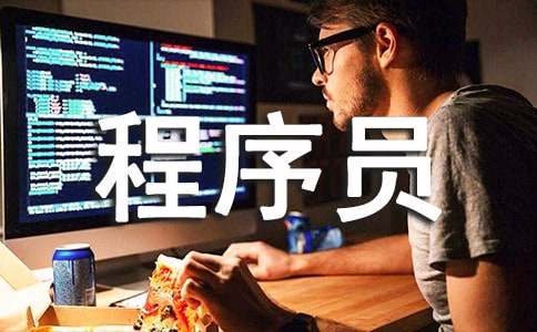 程序員個人轉(zhuǎn)正述職報告