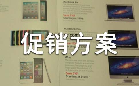 實用的促銷方案(精)