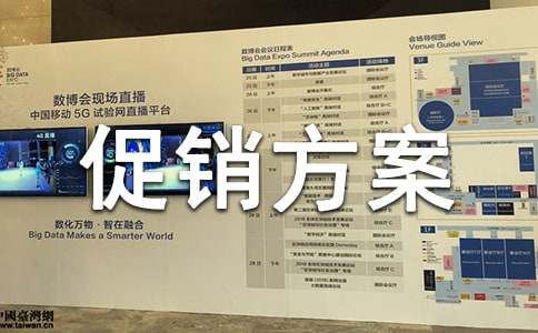 實用的促銷方案(經(jīng)典)