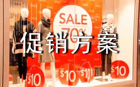 實(shí)用的促銷方案精選8篇