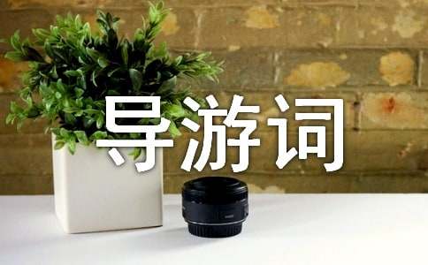 �S��Ϫ��(d��o)���~