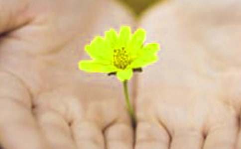 關(guān)于英文道歉信七篇