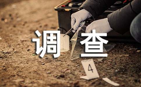 【精品】調查報告作文300字錦集10篇