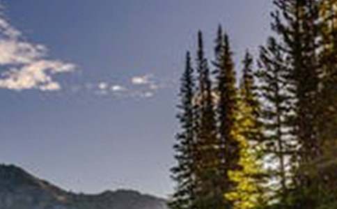 �����á��茑�L(f��ng)������