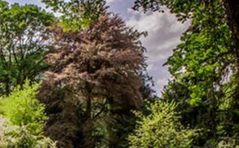 �����茑��@�L��������