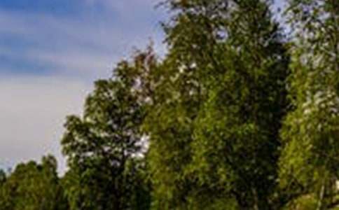 �L(f��ng)����(y��u)������600�ְ�ƪ