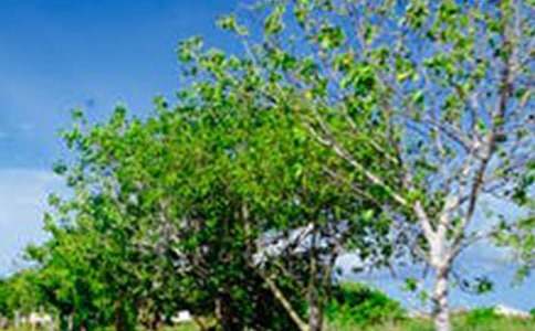 路上的風(fēng)景作文精品15篇