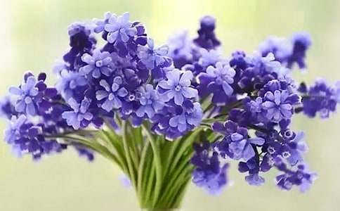 �L���ӵĻ��Z��ʲô��˼