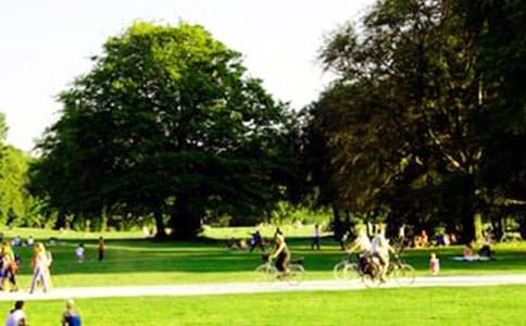 寫作文公園的特點(diǎn)是什么