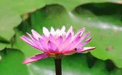 [���T����]�ɻ�������������