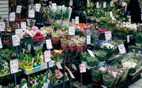 花店的創(chuàng)業(yè)計(jì)劃書