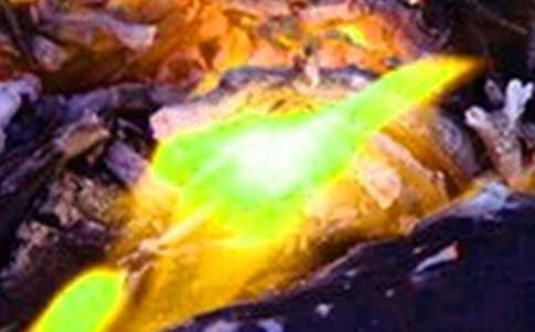 小區(qū)冬春火災防控工作方案(通用11篇)