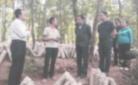 紀(jì)檢部學(xué)期工作計(jì)劃