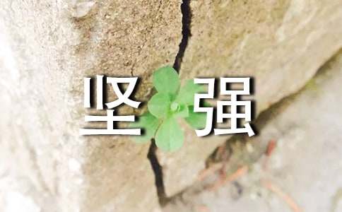代表堅強花語的花